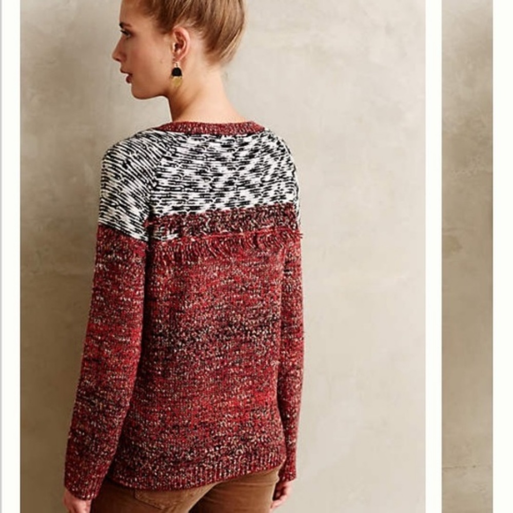Anthro Sanctuary Ananassa Pullover - Picture 2 of 3